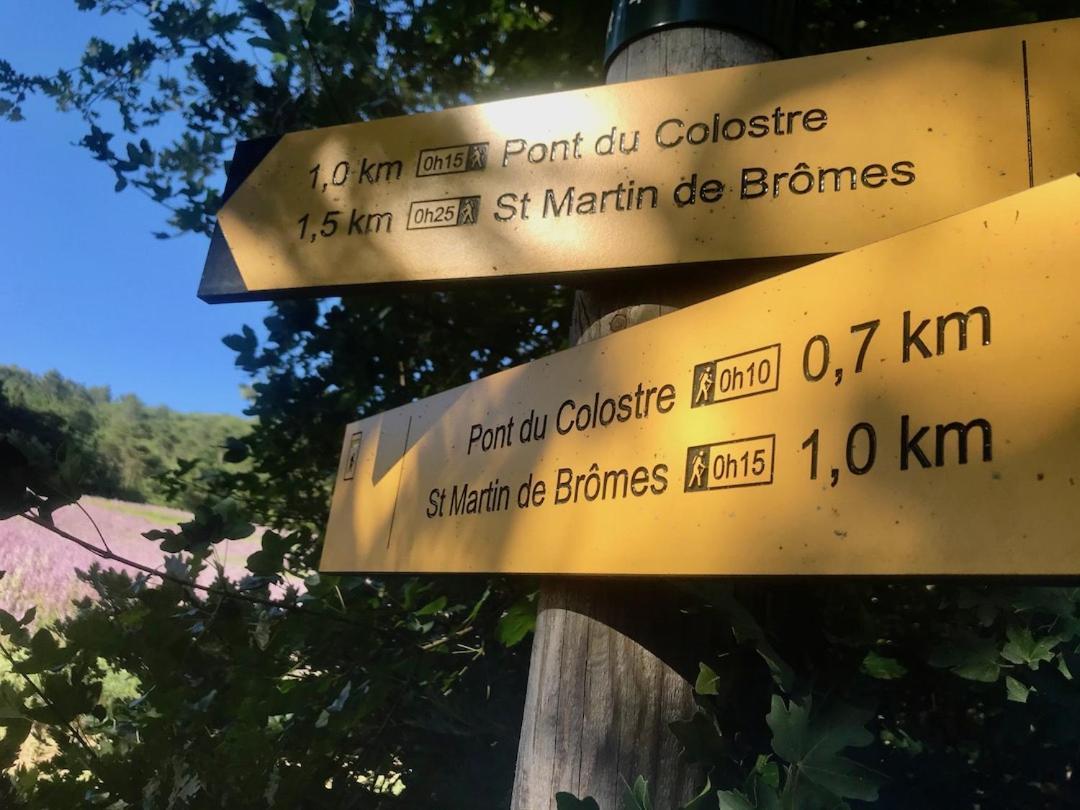 Le Colostre T2 Saint-Martin-de-Brômes 外观 照片